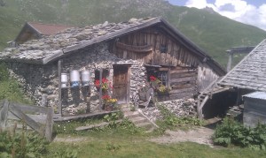 IMAG0115 Seapen Alm in Navis