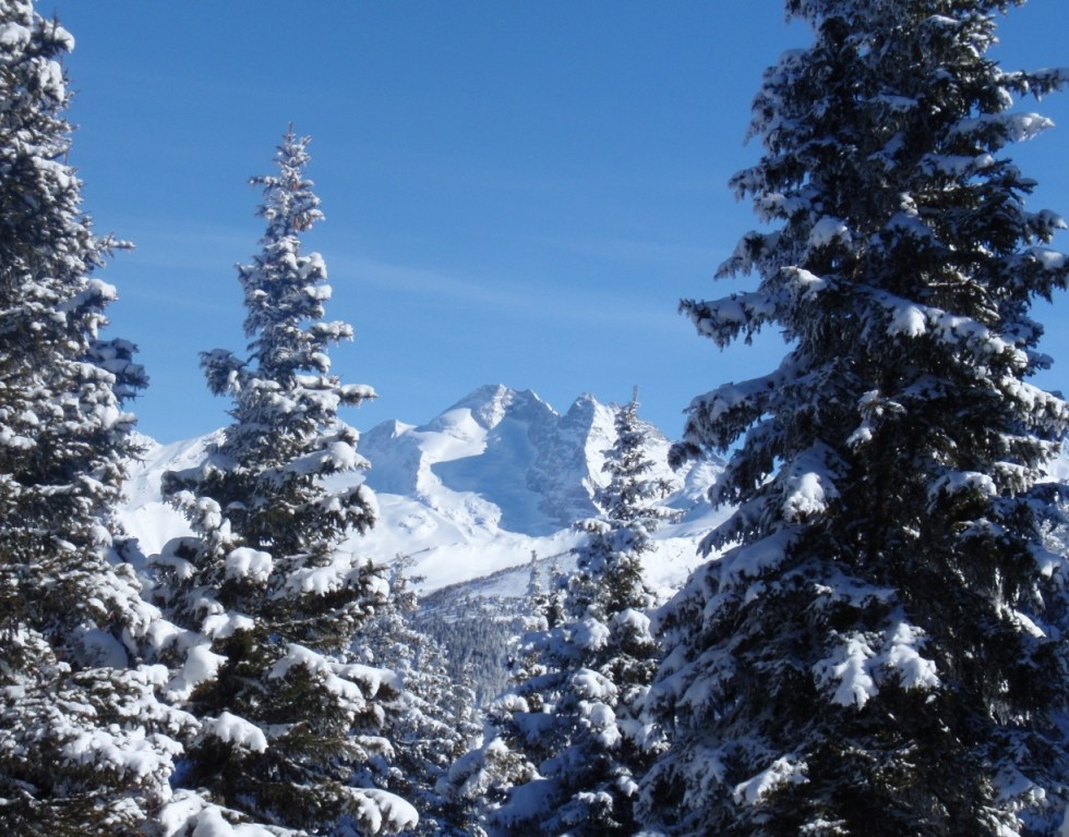 Blick Richtung Olperer