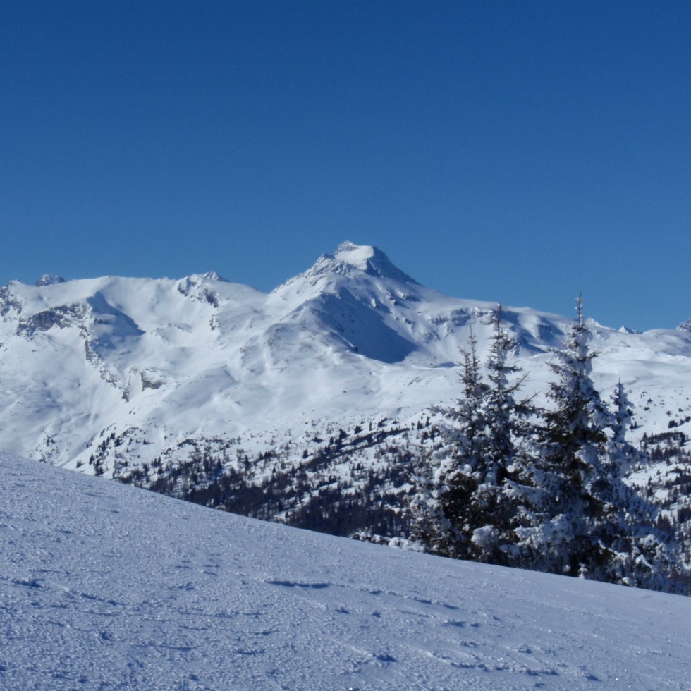 Blick Richtung Habicht